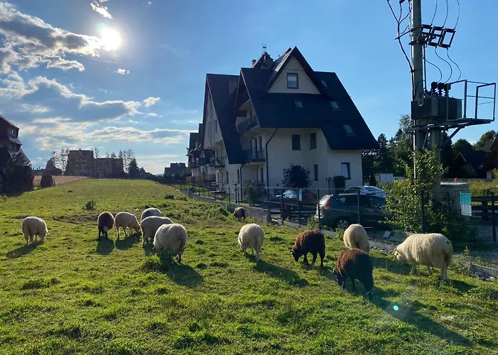 Goralski 公寓 穆扎希赫尔